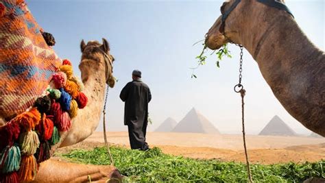 14 things to know before going to Egypt